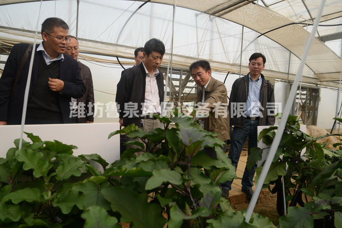 ��Ȫ���B(t��i)ˮ��ȼ��g(sh��)�߲ˬF(xi��n)��(ch��ng)�^Ħ������������(hu��)�ɹ����_